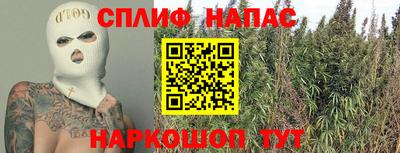 амф Новокубанск
