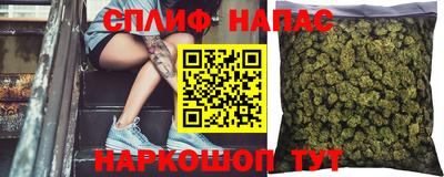 амф Новокубанск