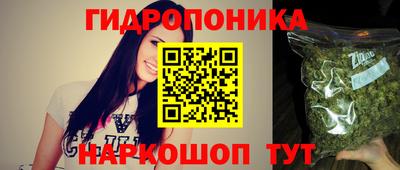амф Новокубанск