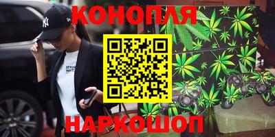 амф Новокубанск