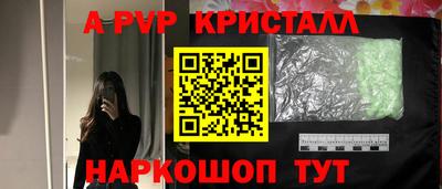 амф Новокубанск