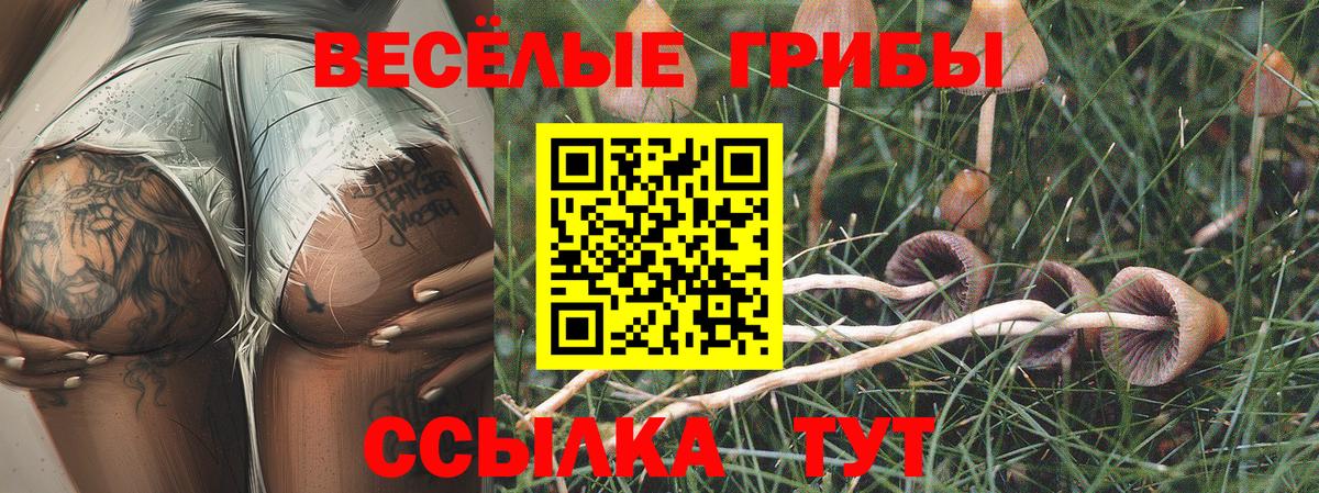 Псилоцибиновые грибы мицелий  Вход с VPN  хочу   Тосно 